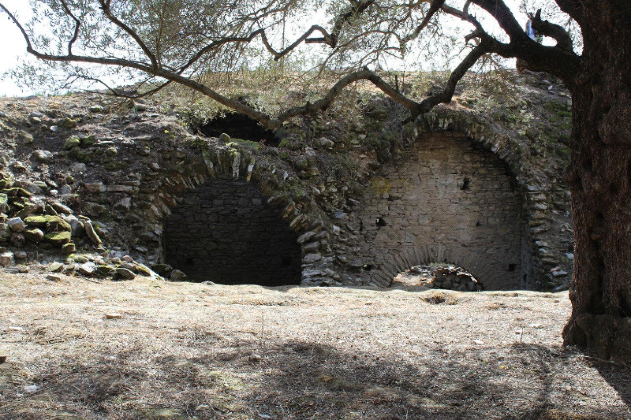 Aydın'daki Mastaura Antik Kenti'nde"arena" ortaya çıktı (GALERİ) 7