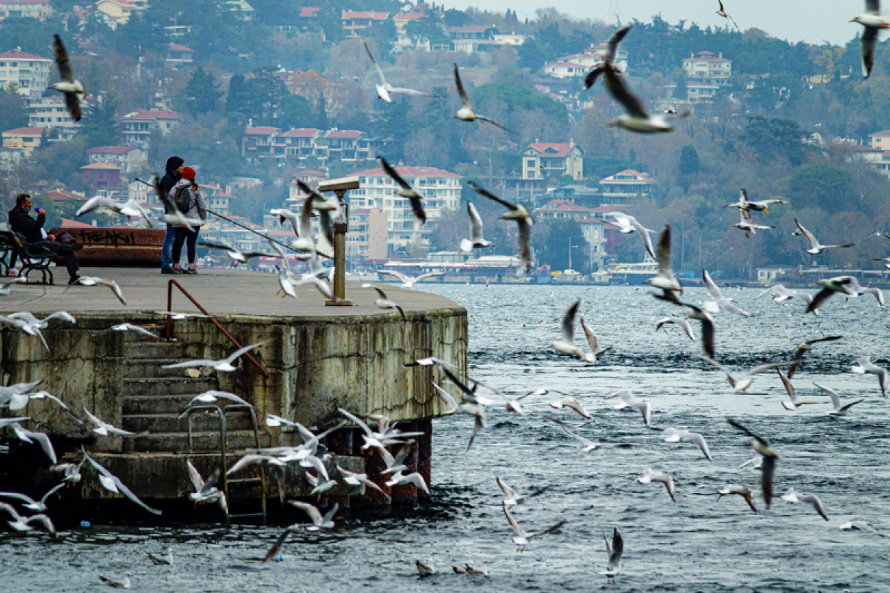 İstanbul'dan deniz manzaraları 7