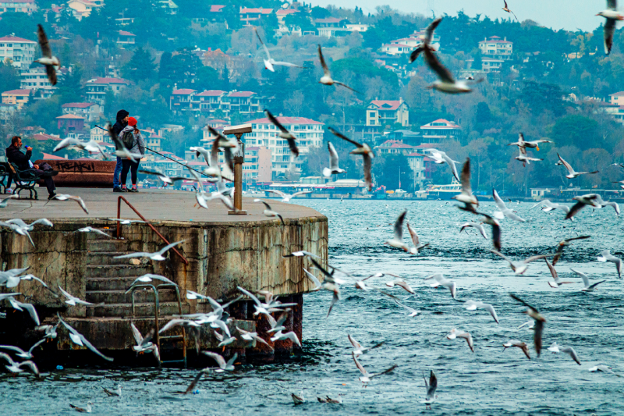 Boğaz Balıkçıları 9