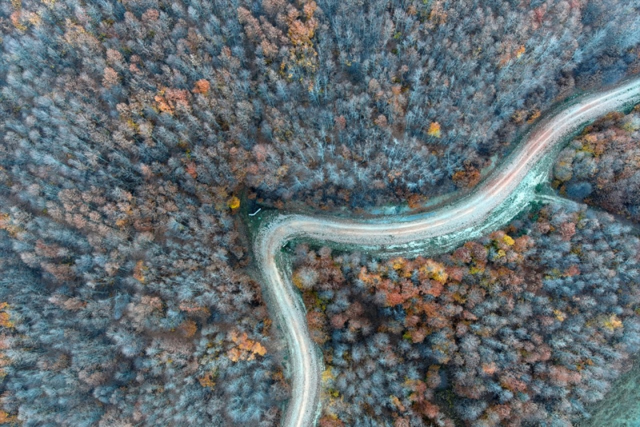 Boyalı Dağı'nın tabloyu andıran ağaçları dronla görüntülendi 6