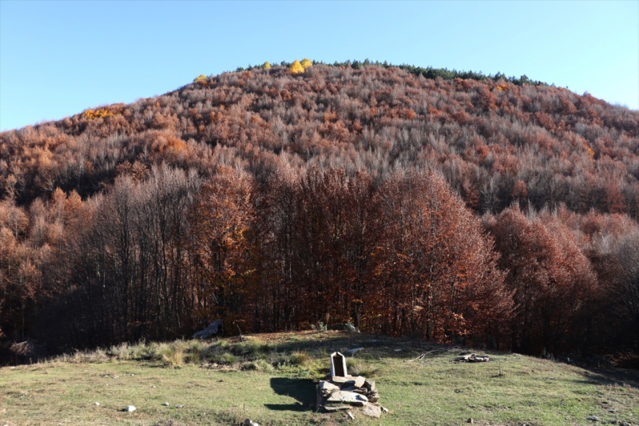 Boyalı Dağı'nın tabloyu andıran ağaçları dronla görüntülendi 5