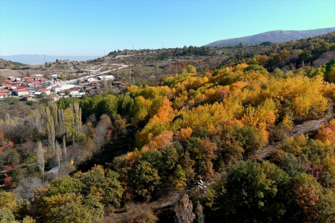 Boyalı Dağı'nın tabloyu andıran ağaçları dronla görüntülendi 9