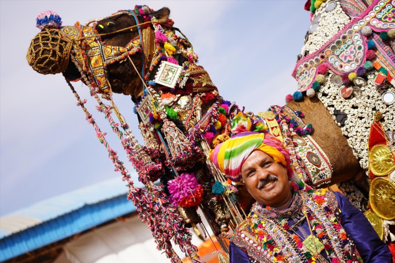 Hindistan'da geleneksel Pushkar Deve Festivali gerçekleştirildi 3