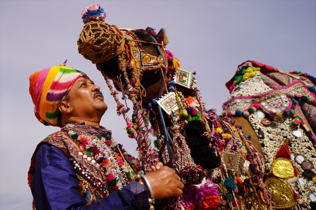 Hindistan'da geleneksel Pushkar Deve Festivali gerçekleştirildi 5