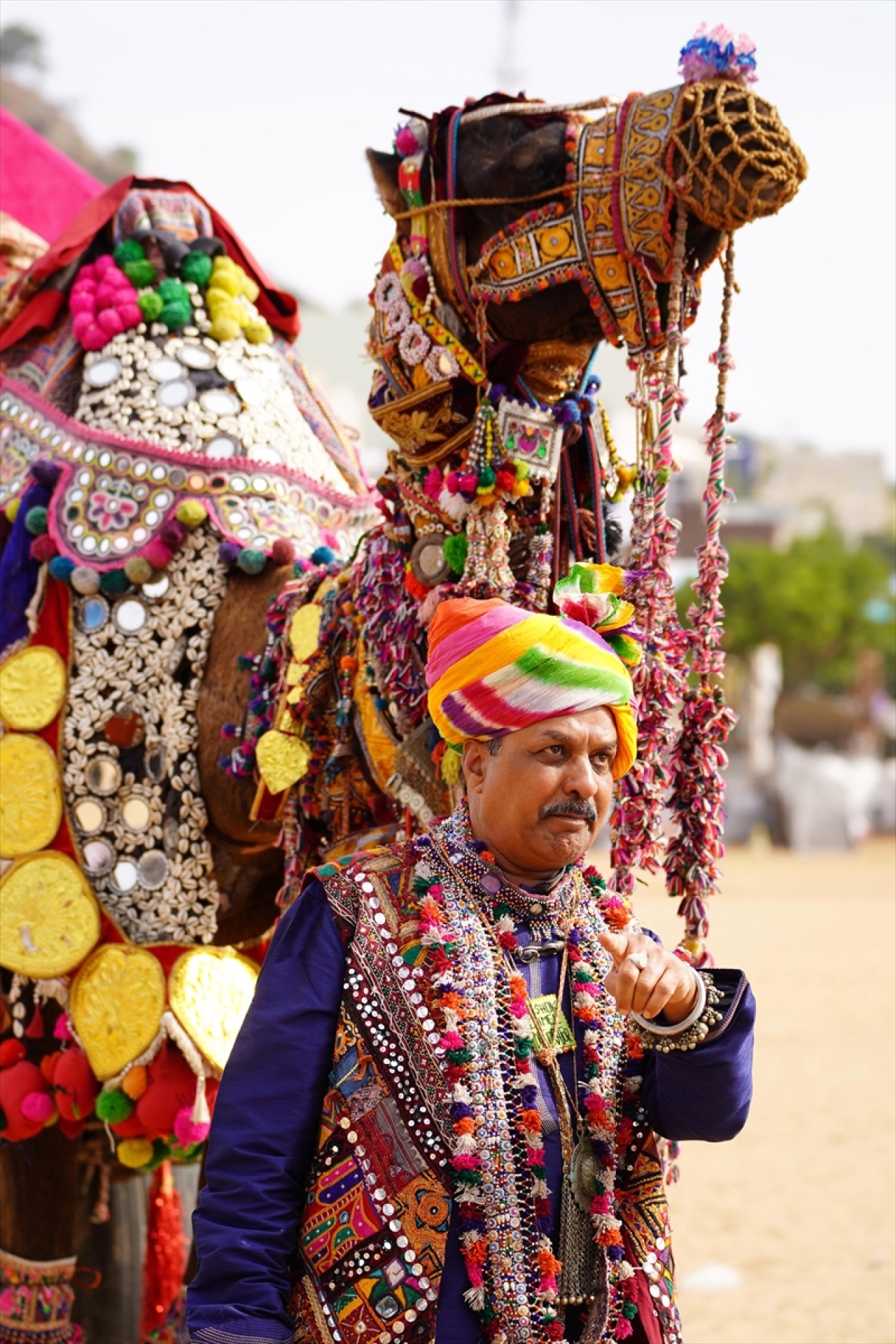 Hindistan'da geleneksel Pushkar Deve Festivali gerçekleştirildi 15