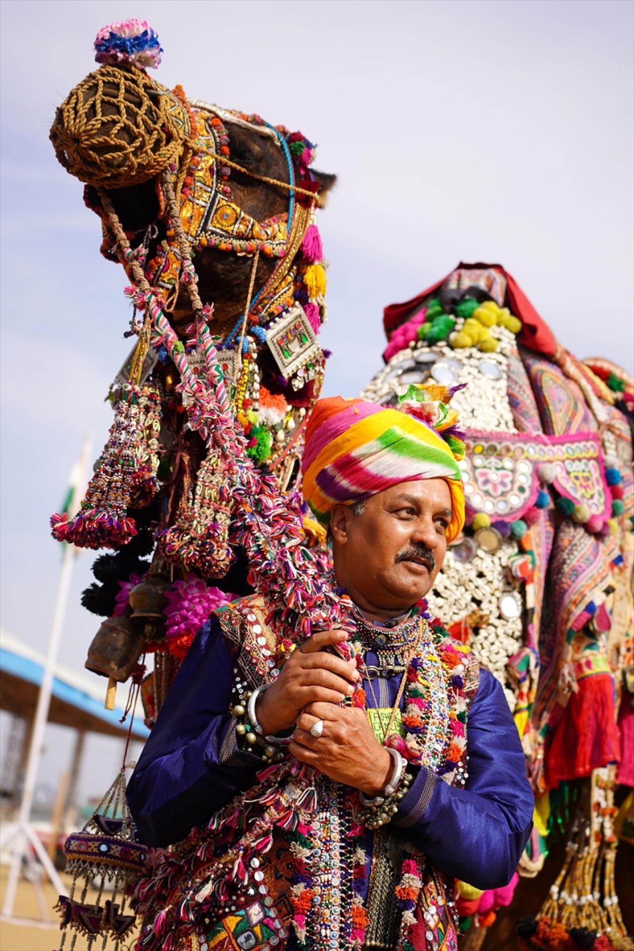 Hindistan'da geleneksel Pushkar Deve Festivali gerçekleştirildi 17