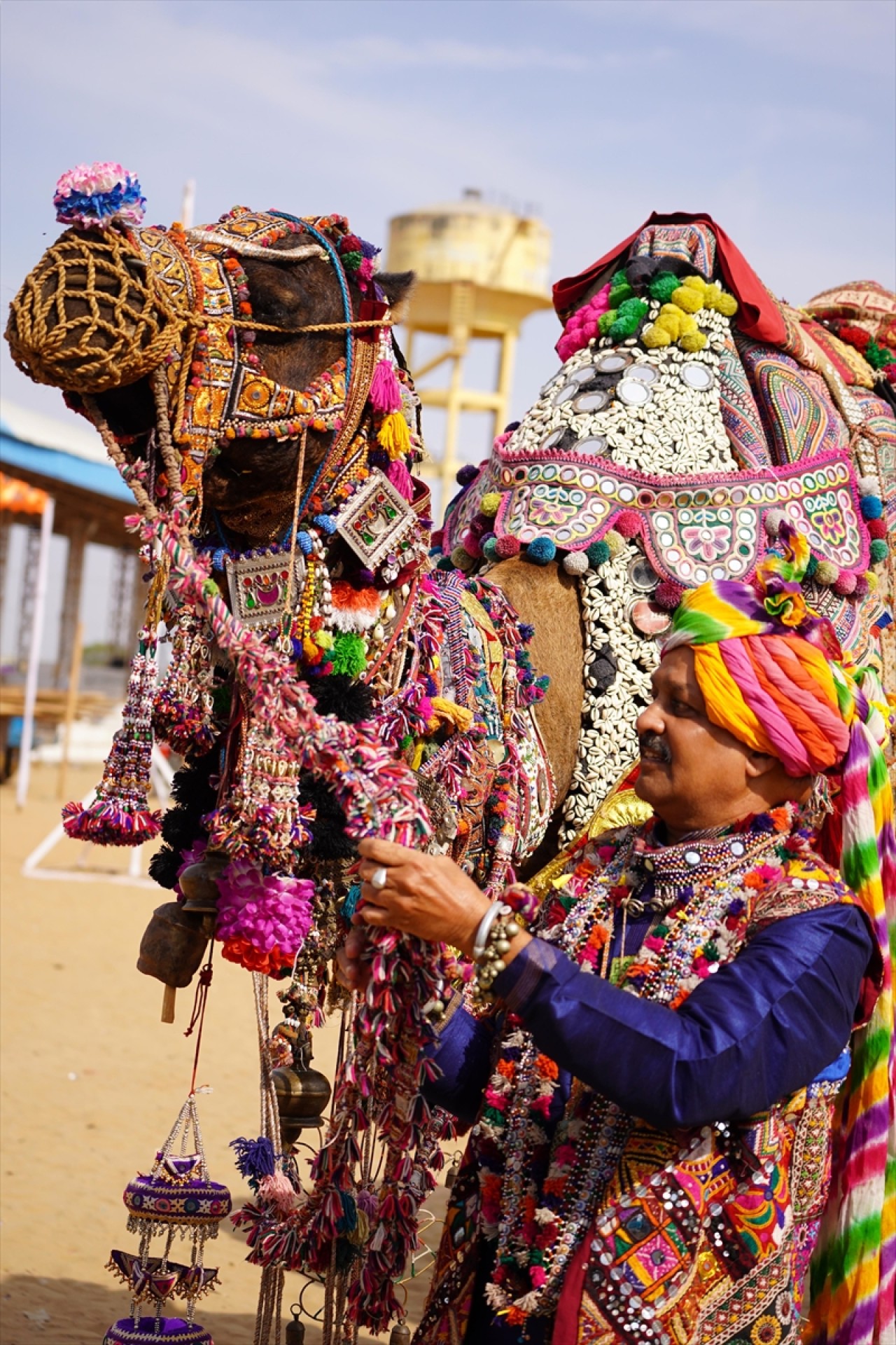 Hindistan'da geleneksel Pushkar Deve Festivali gerçekleştirildi 20