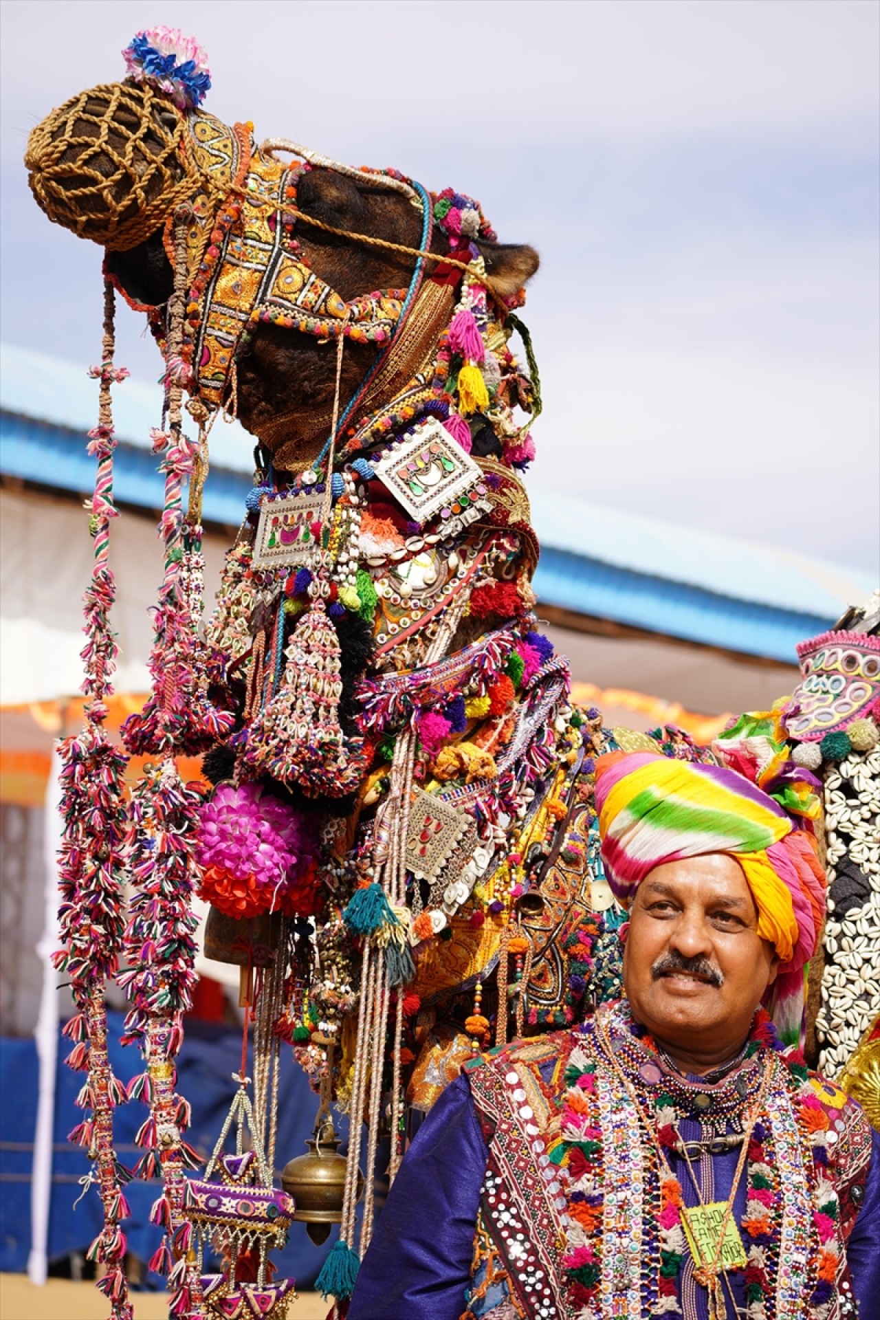 Hindistan'da geleneksel Pushkar Deve Festivali gerçekleştirildi 21