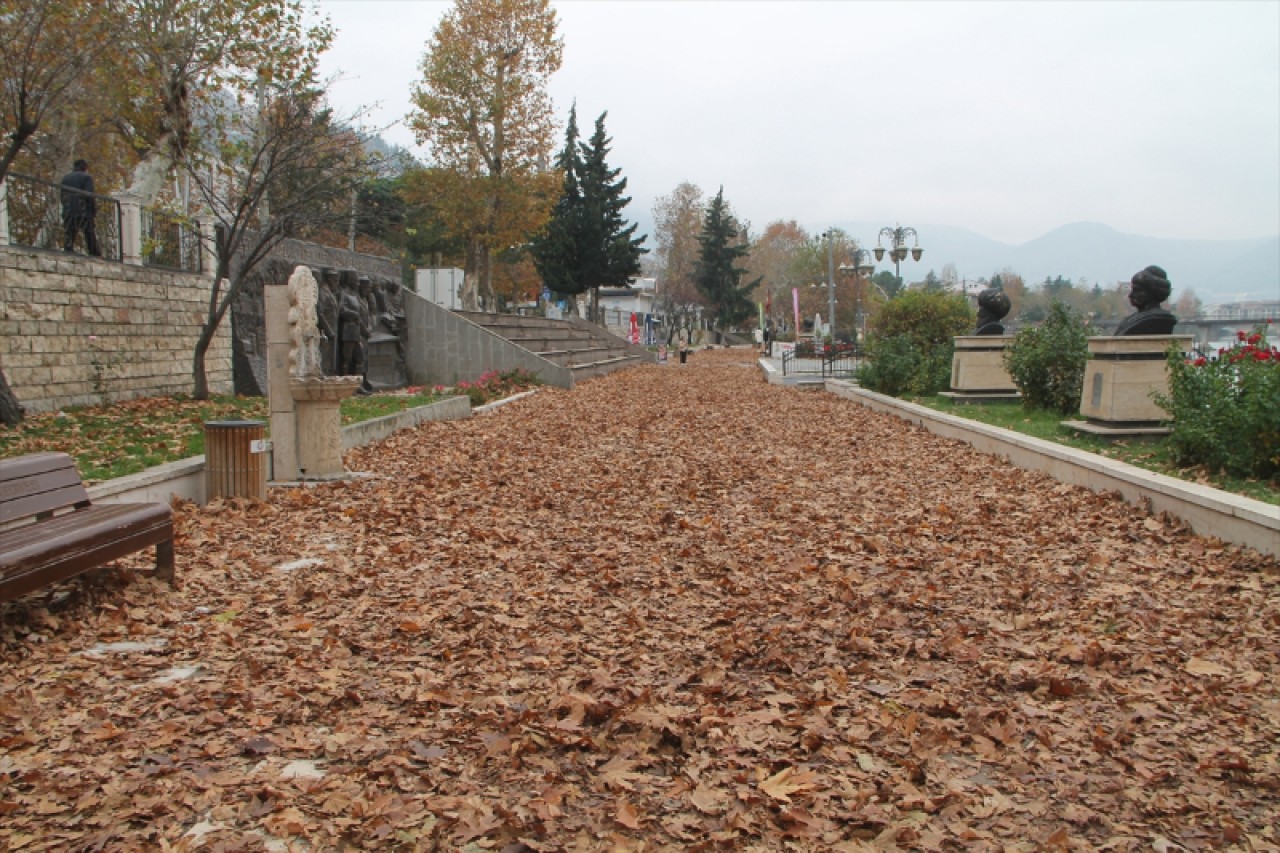 Amasya'da sonbahar kareleri için yapraklar toplanmadı 1