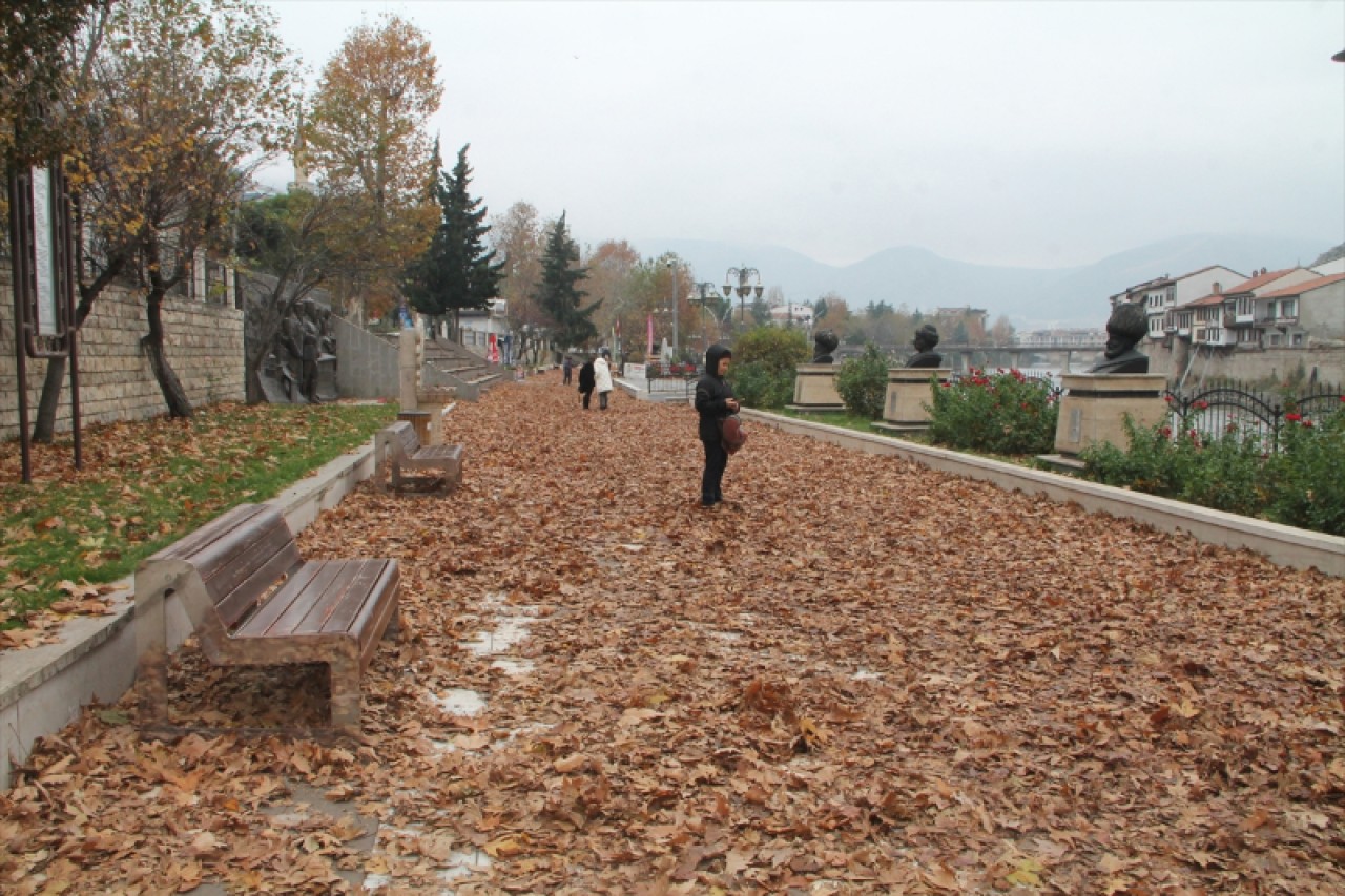 Amasya'da sonbahar kareleri için yapraklar toplanmadı 4