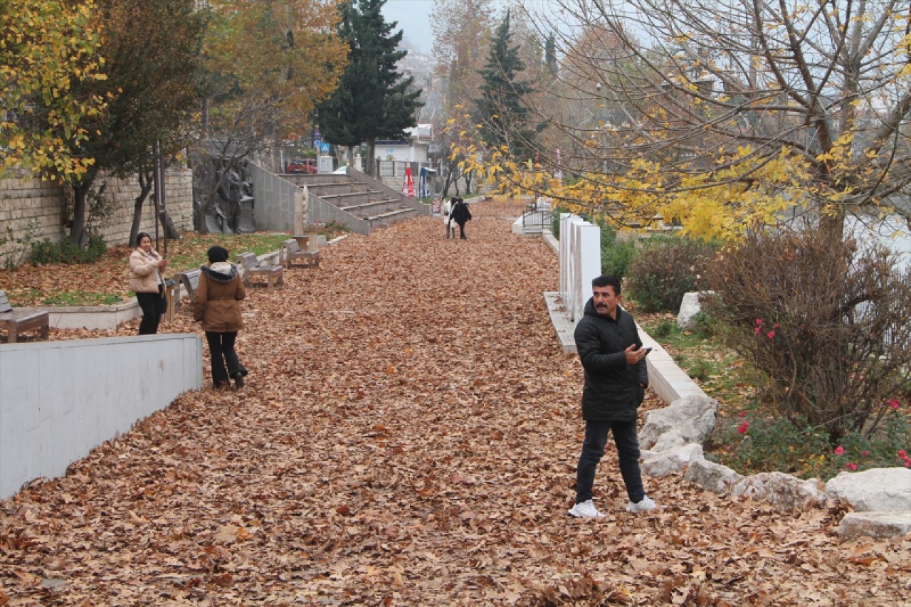 Amasya'da sonbahar kareleri için yapraklar toplanmadı 6