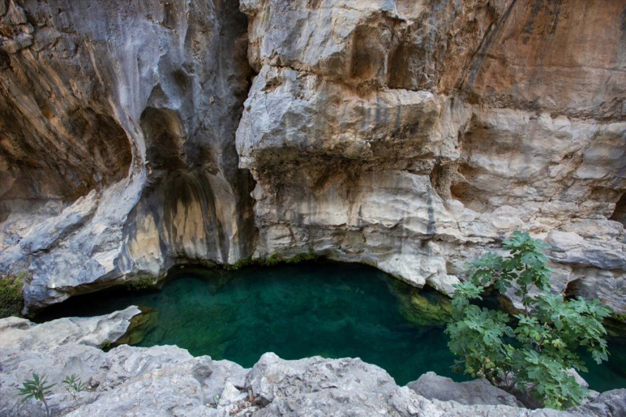 Serinlemek isteyen turistlerin adresi: "Gezende Kanyonu" 6