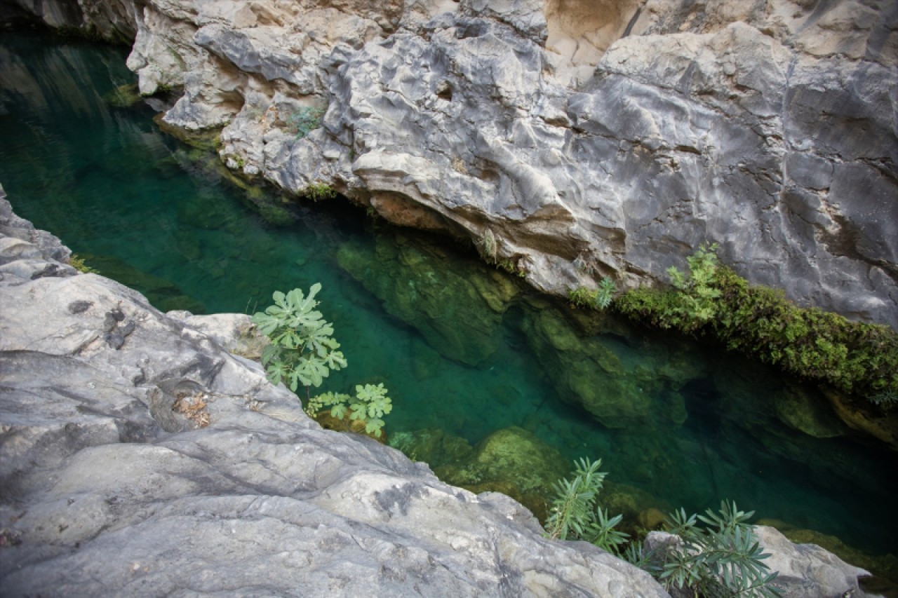 Serinlemek isteyen turistlerin adresi: "Gezende Kanyonu" 8