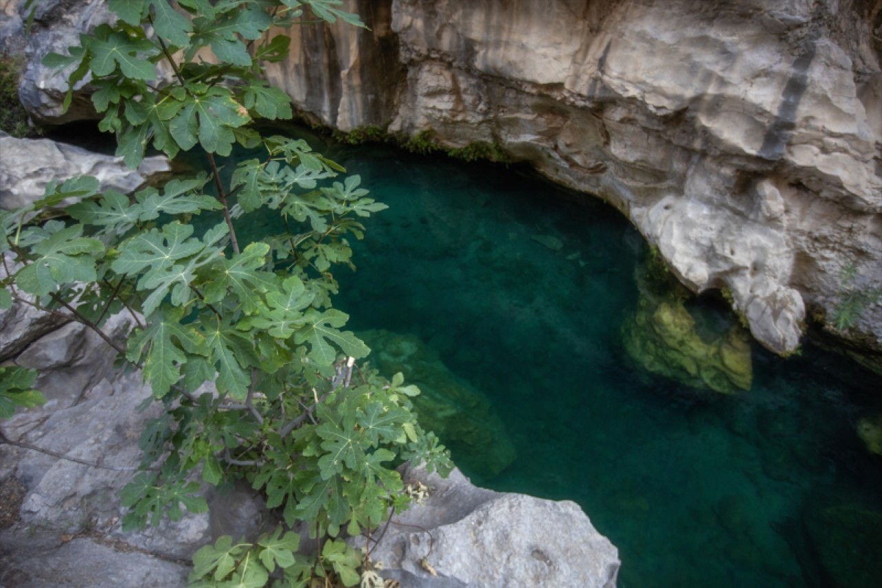 Serinlemek isteyen turistlerin adresi: "Gezende Kanyonu" 7