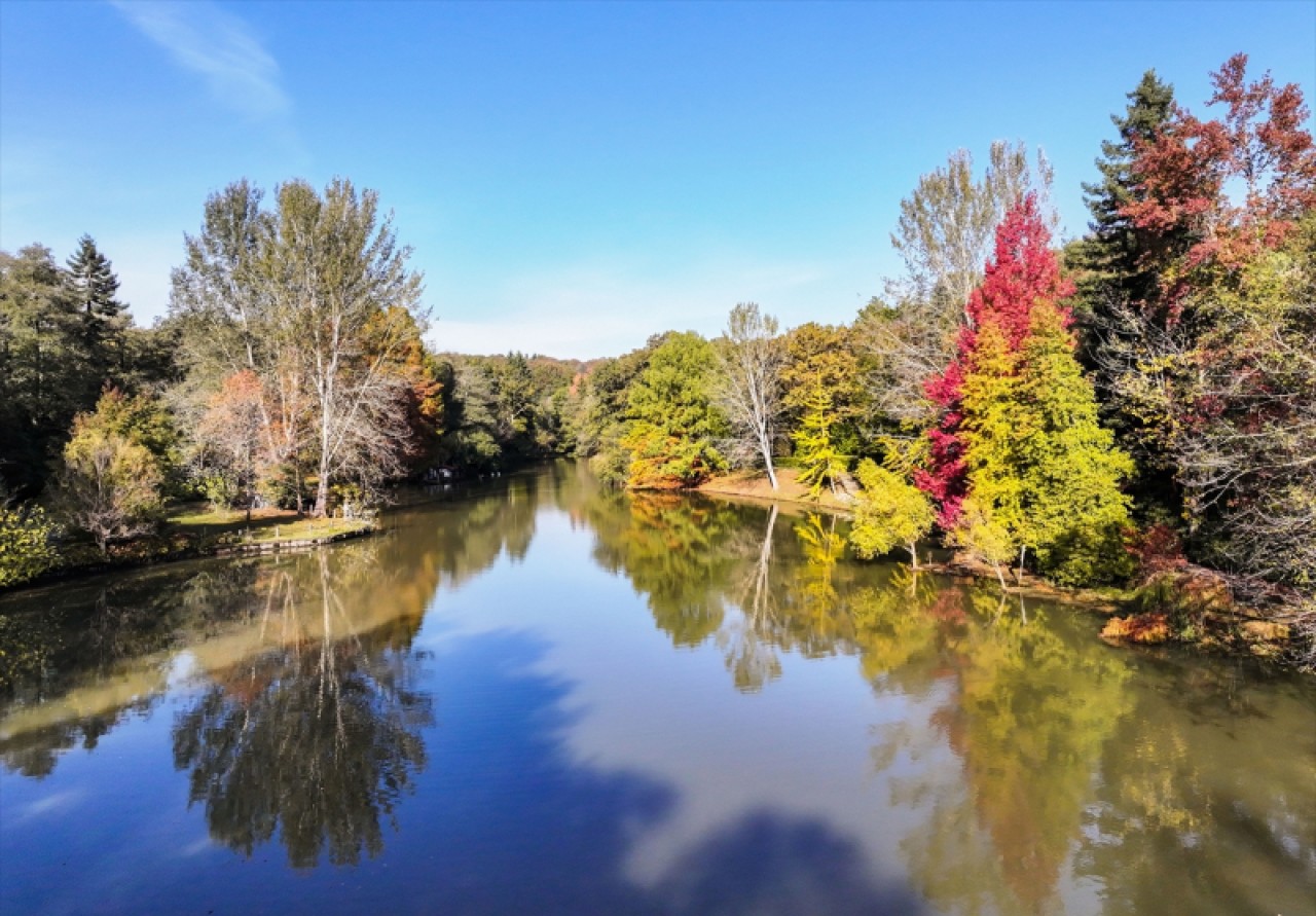 Atatürk Arboretumu'nda sonbahar renkleri 1