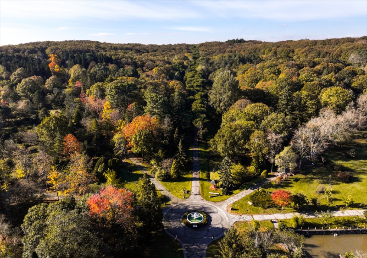 Atatürk Arboretumu'nda sonbahar renkleri 2