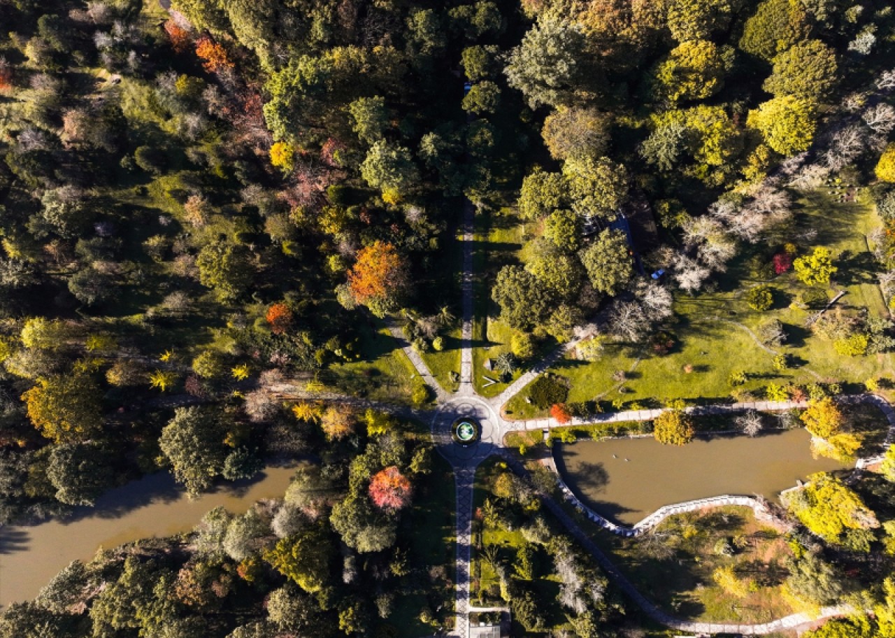 Atatürk Arboretumu'nda sonbahar renkleri 16