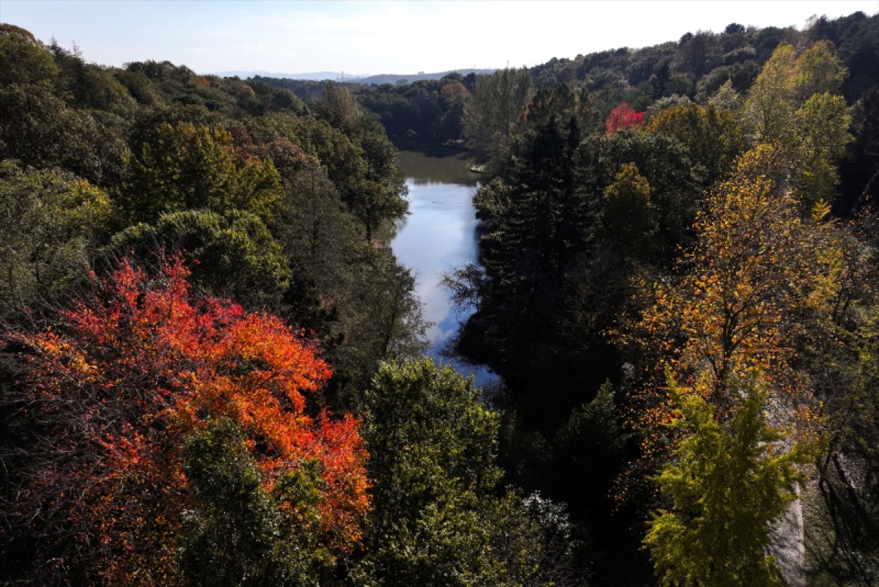 Atatürk Arboretumu'nda sonbahar renkleri 9