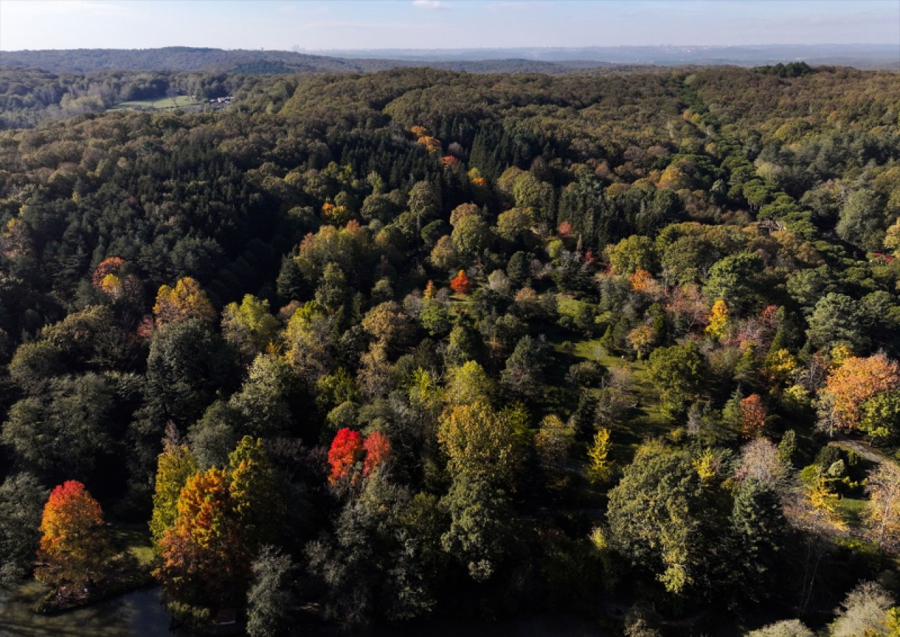 Atatürk Arboretumu'nda sonbahar renkleri 10