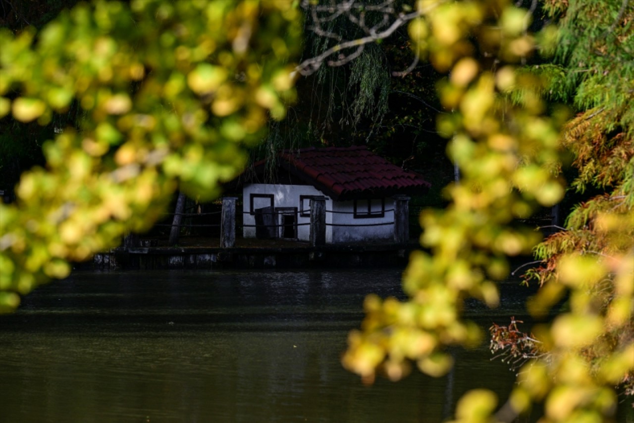 Atatürk Arboretumu'nda sonbahar renkleri 11