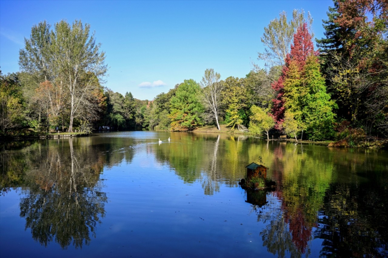 Atatürk Arboretumu'nda sonbahar renkleri 12