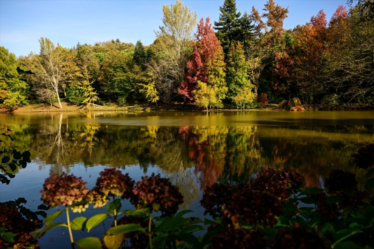 Atatürk Arboretumu'nda sonbahar renkleri 14