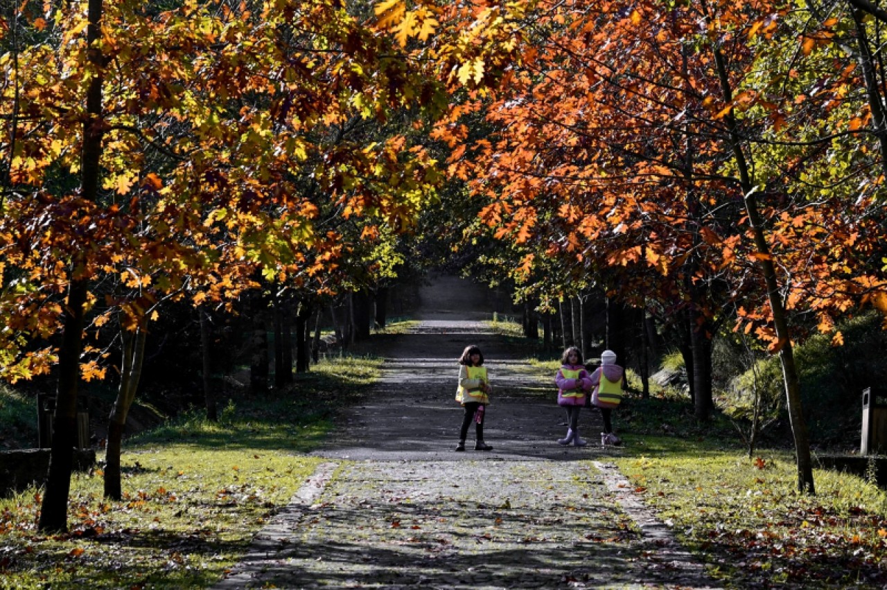 Atatürk Arboretumu'nda sonbahar renkleri 15