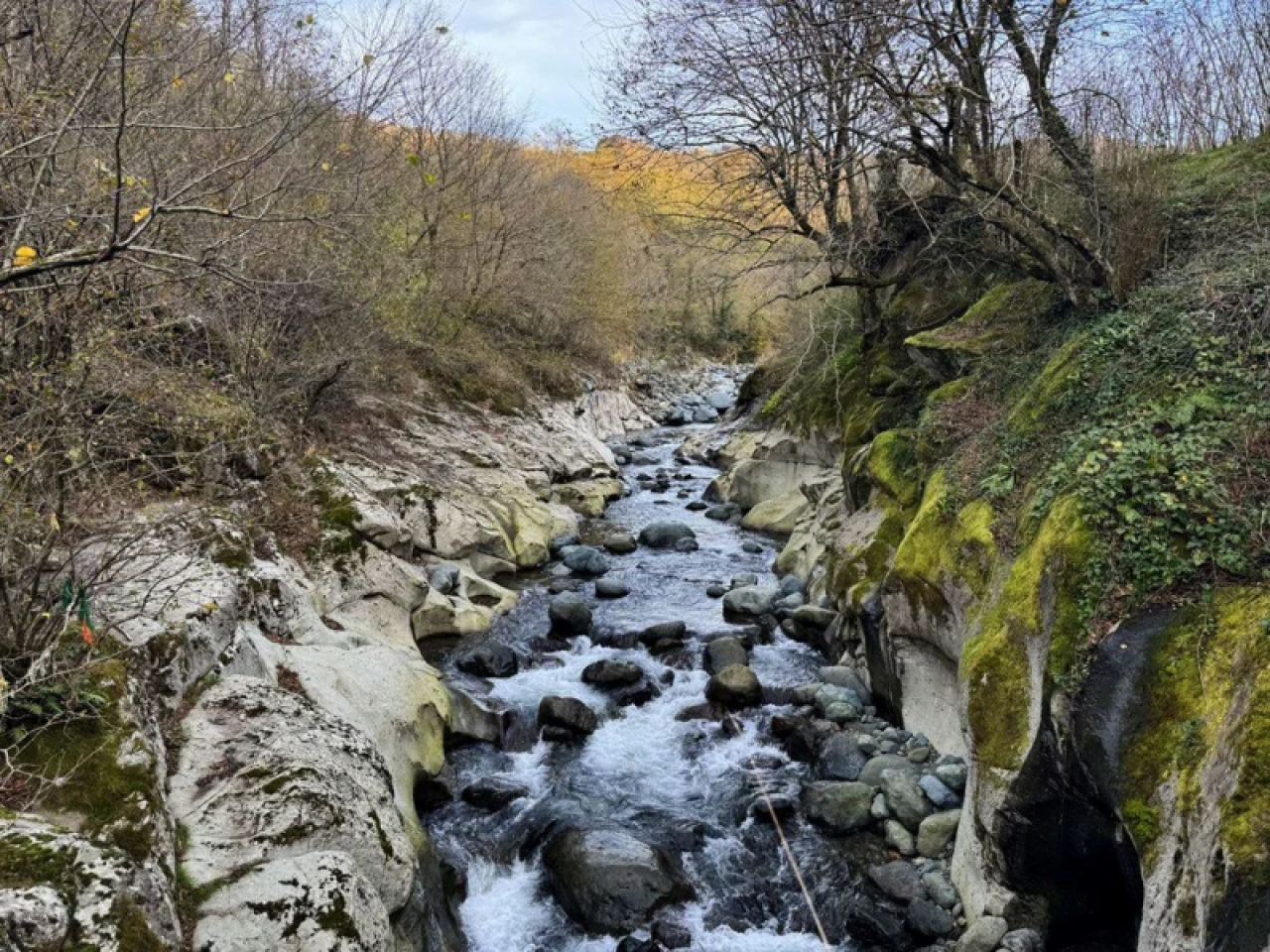 Karadeniz’in doğal güzelliği: Çamaş Kanyonu 6