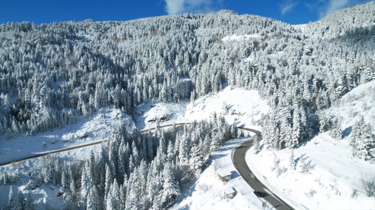 Kastamonu'da ormanlar beyaz örtüyle kaplandı 9