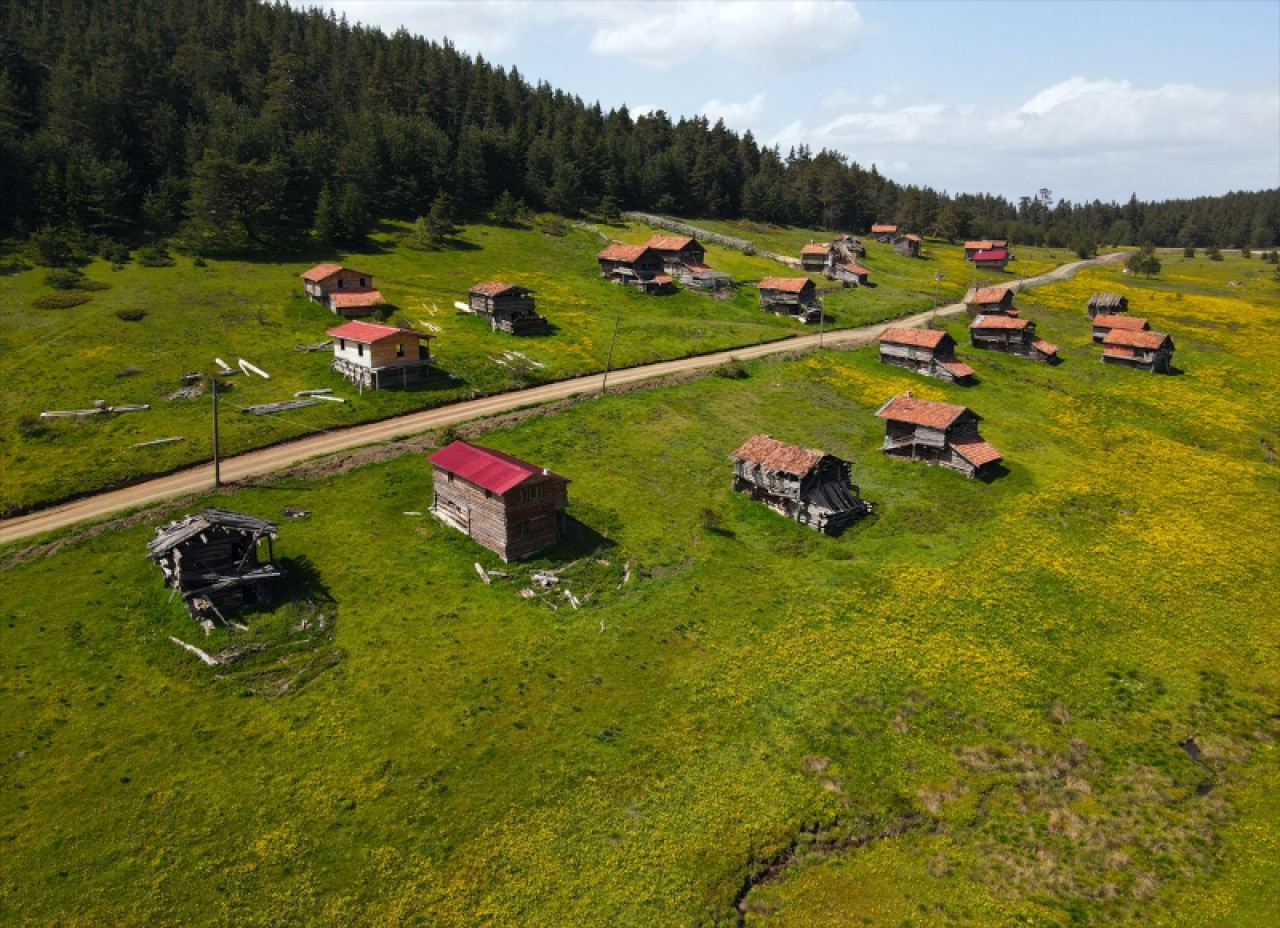 Baharın tüm renklerini barındıran Araç yaylaları 2