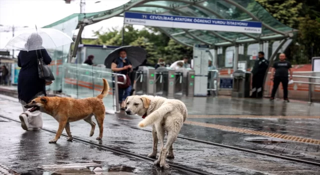 İstanbul’da sağanak yağış etkili oluyor