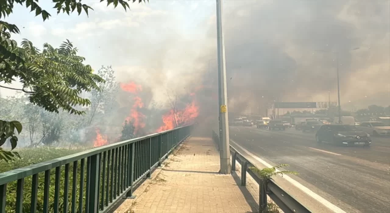 Bursa’da ağaçlık alanda çıkan yangın söndürüldü