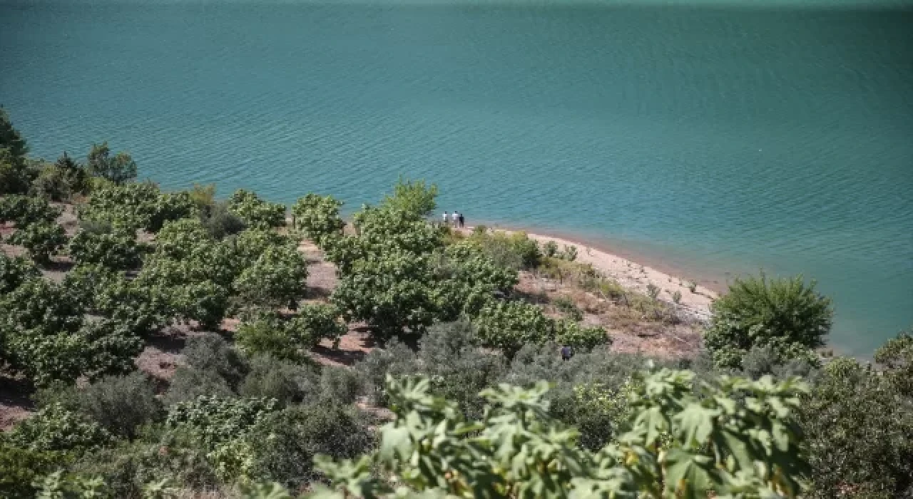 Adana’da helikopterin kırıma uğradığı bölgede araştırma yapıldı 