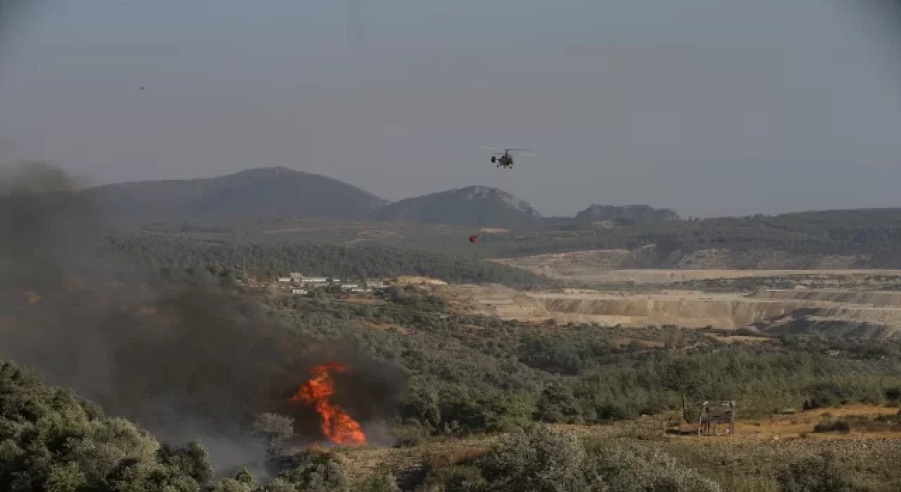 GÜNCELLEME  Muğla’nın Milas ilçesinde çıkan orman yangınına müdahale ediliyor