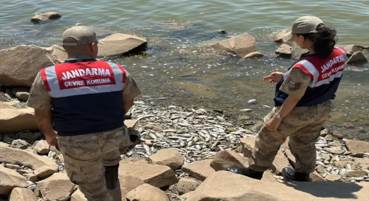 Diyarbakır’daki Devegeçidi Baraj Gölü’nde balık ölümleriyle ilişkin araştırma başlatıldı