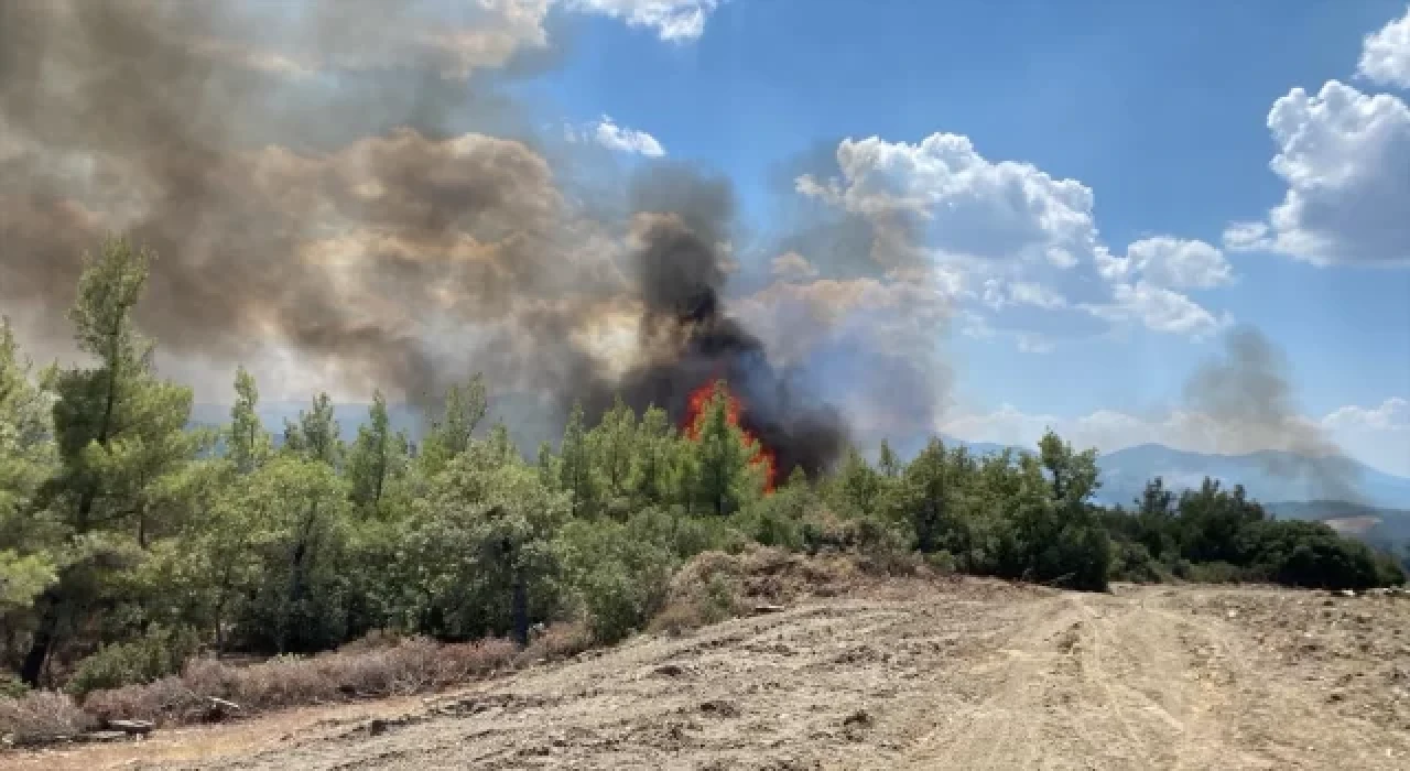 Muğla’da çıkan orman yangını söndürüldü