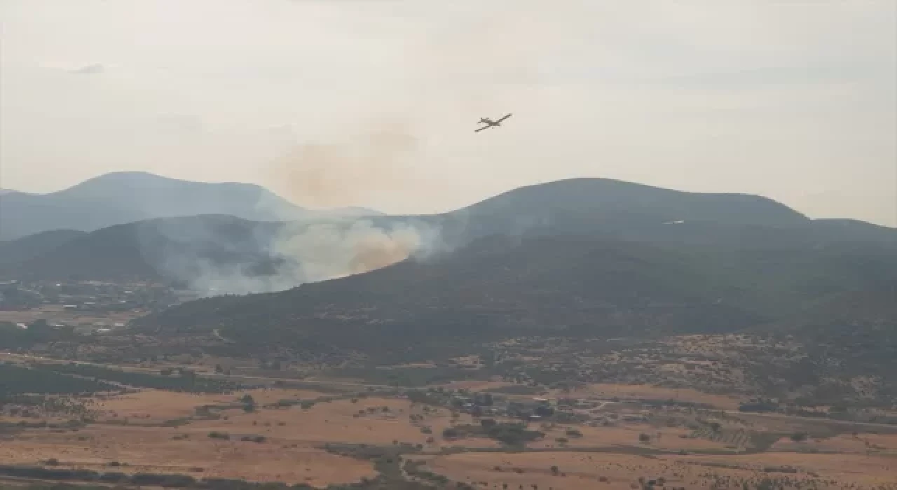 İzmir’de çıkan orman yangını kontrol altına alındı