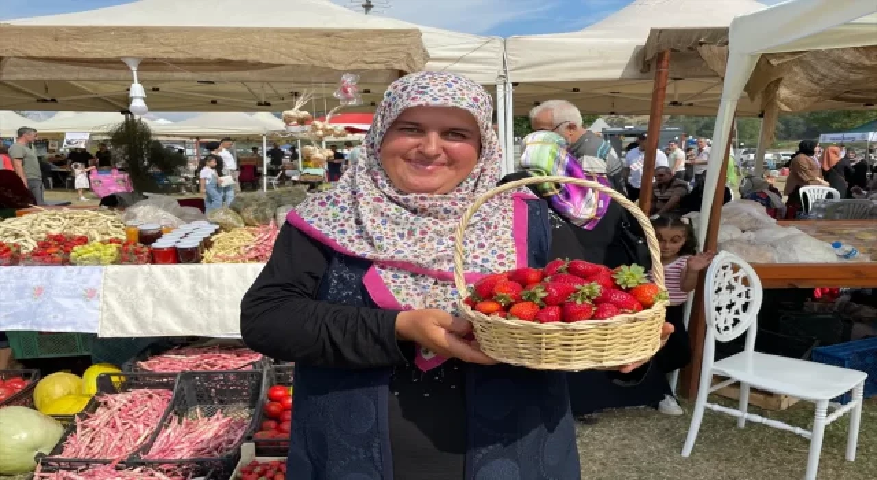 Sakarya’da Çilek Festivali düzenlendi