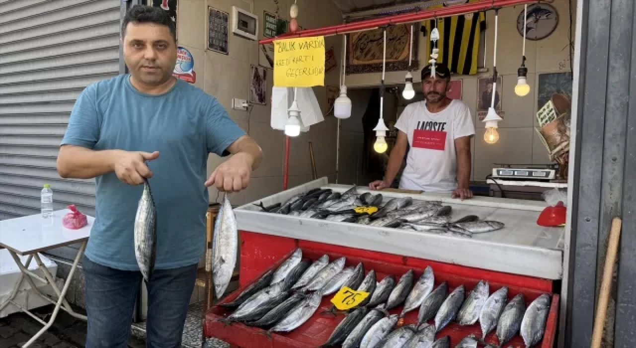 Zonguldak’ta deniz av sezonu palamut bereketiyle başladı 