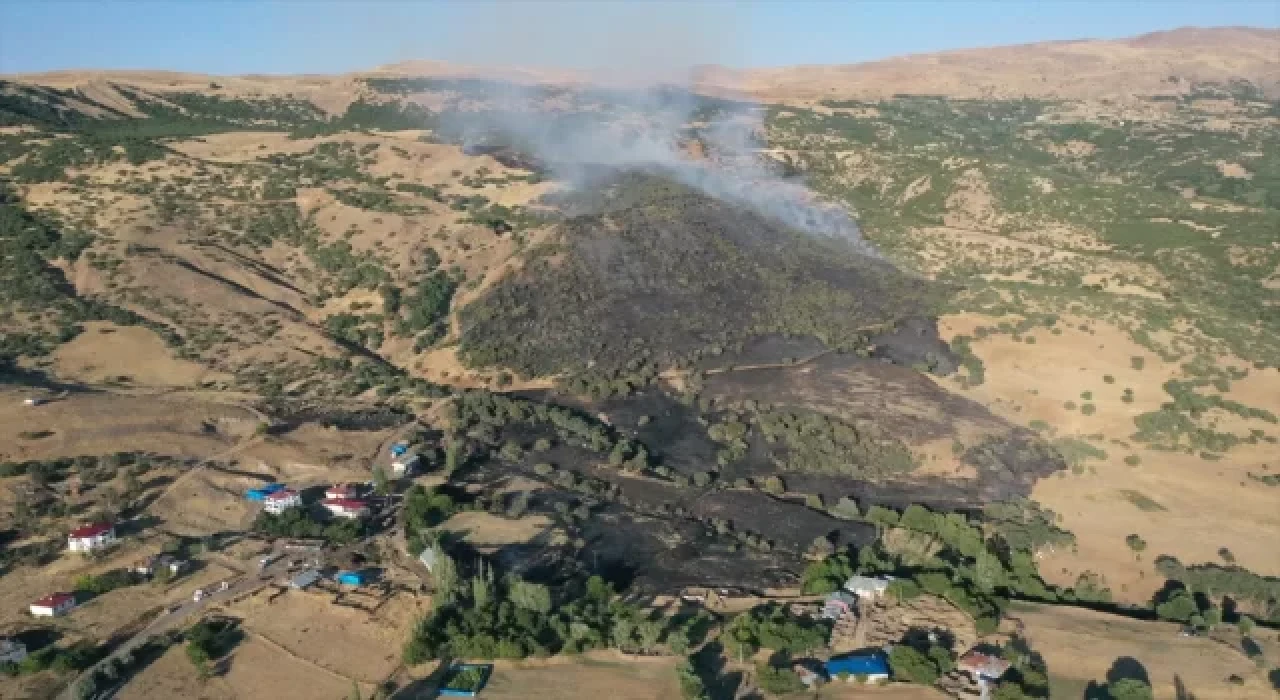 Elazığ’da ormanlık alanda çıkan yangın söndürüldü 