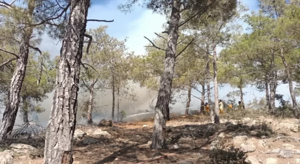 Mersin’de çıkan orman yangını kontrol altına alındı 