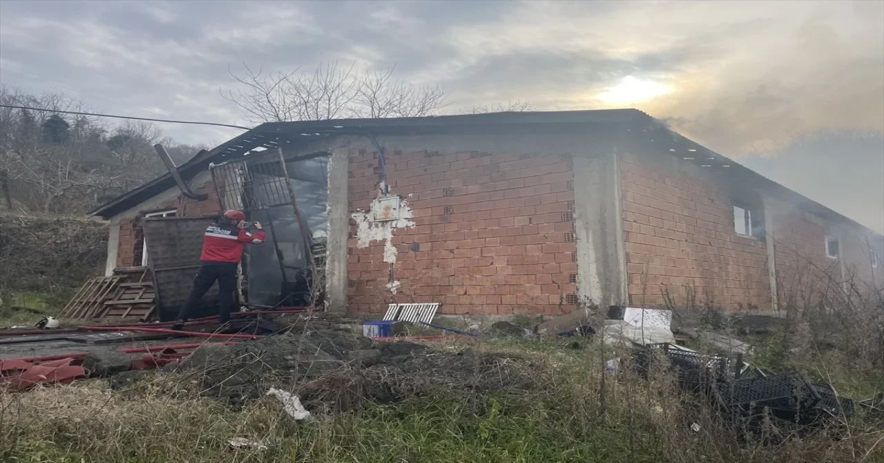 Ordu’da çıkan yangın iş yeri ile depoda hasara neden oldu