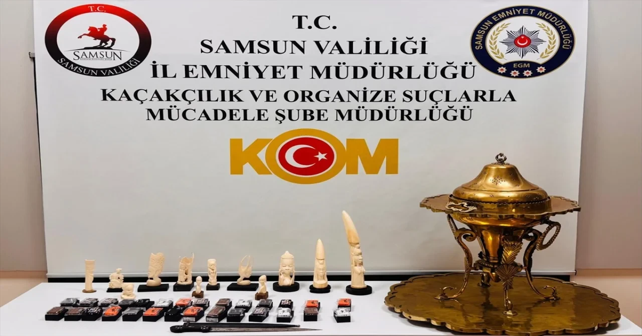 Samsun’da tarihi eser kaçakçılığı operasyonunda 1 kişi yakalandı