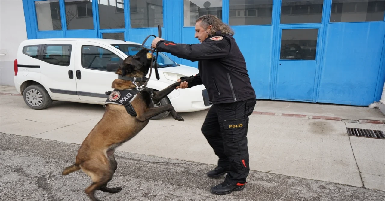 Isparta Emniyetinin göz bebeği ”Milon” üçüncü kez ayın narkotik köpeği seçildi