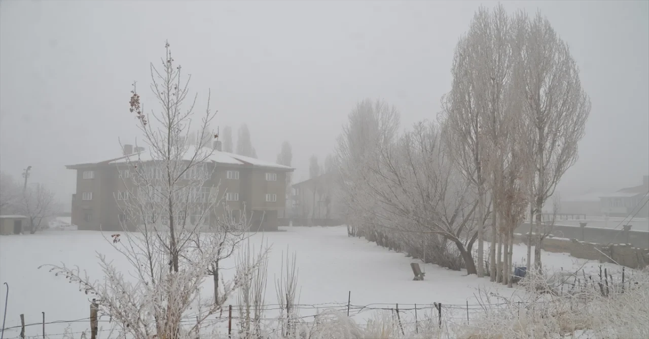 Hakkari’de soğuk hava ve sis etkili oldu 