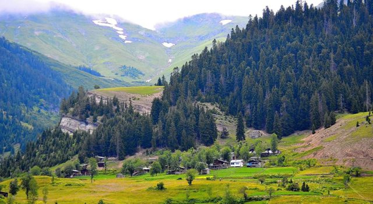 Artvin’de tarıma sondaj vuracaklar 