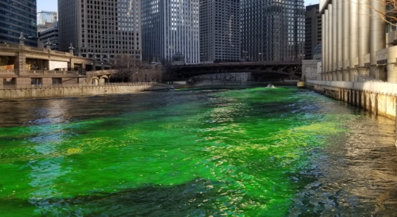 ABD'de Chicago Nehri'nin rengi yonca yeşiline çevrildi