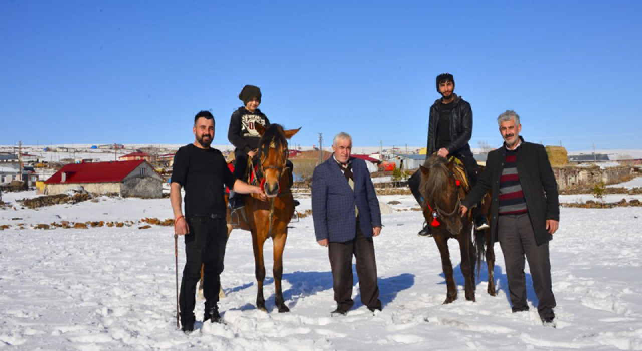 Ardahan'da yetişen rahvan atları satıyorlar