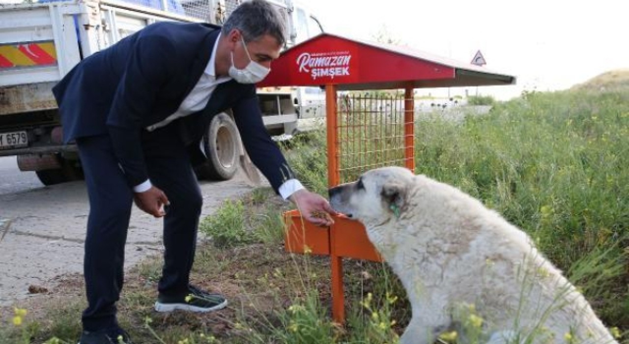 Gölbaşı Belediye Başkanı Şimşek: Köpek ölümleriyle ilgili suç duyurusunda bulunacağız