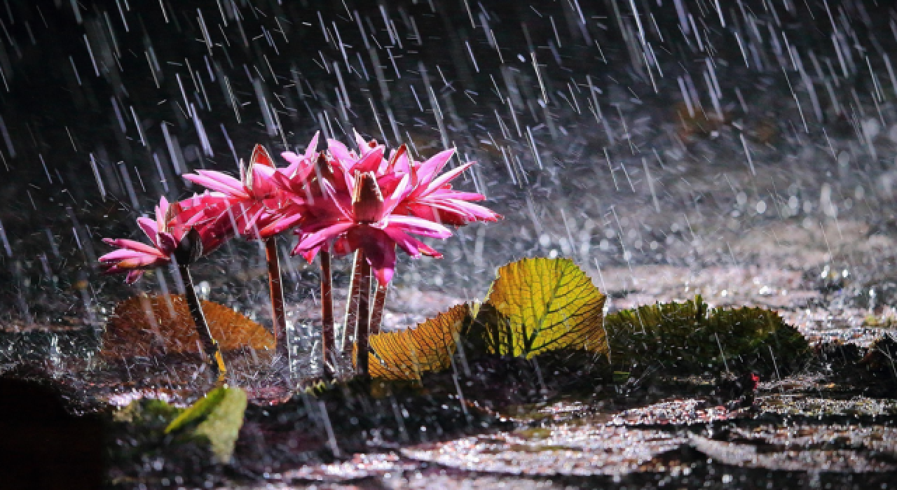 Meteoroloji duyurdu, sağanak yağışa dikkat!